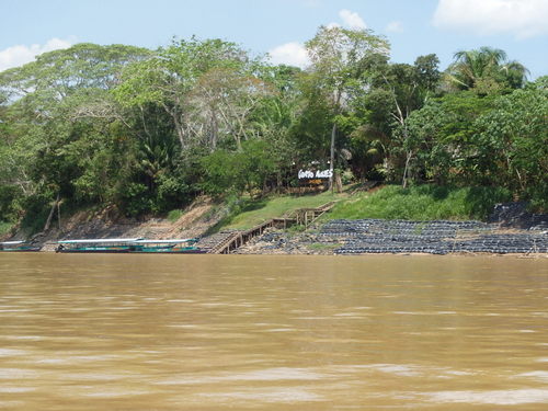 Corto Maltes, Amazonia.